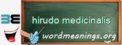 WordMeaning blackboard for hirudo medicinalis
